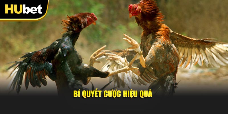 Bí quyết tham gia trải nghiệm đặt tiền hiệu quả tốt nhất