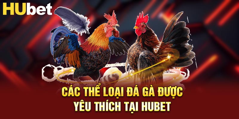Các thể loại đá gà được yêu thích tại HUBET
