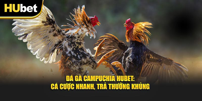 Đá Gà Campuchia: Cá Cược Nhanh, Trả Thưởng Khủng