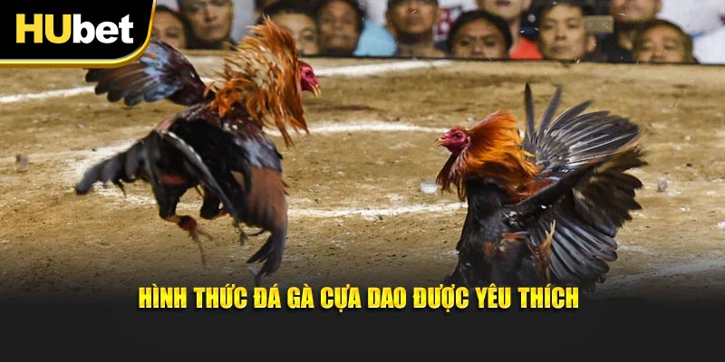 Hình thức đá gà cựa dao được yêu thích