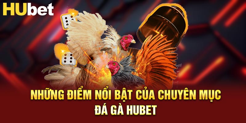 Những điểm nổi bật của chuyên mục đá gà HUBET