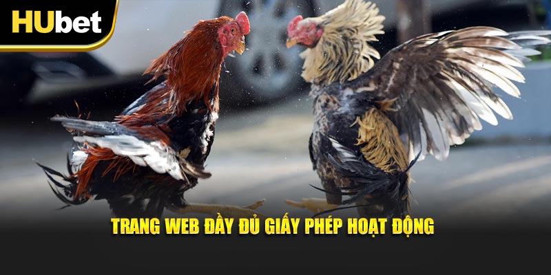 Trang web đầy đủ giấy phép hoạt động