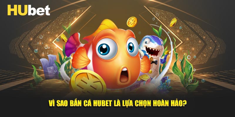 Vì sao bắn cá HUBET là lựa chọn hoàn hảo
